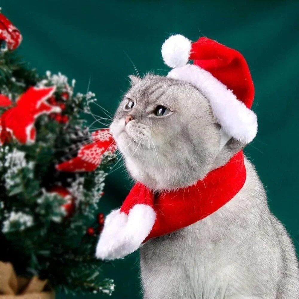 Pet Santa Hat with Scarf – Christmas Costume for Cats, Small Dogs, Rabbit, Red